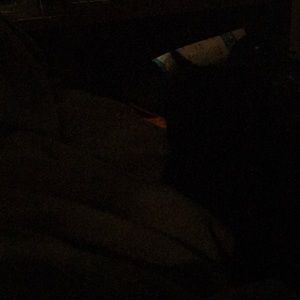 Meet your Posher, Connie